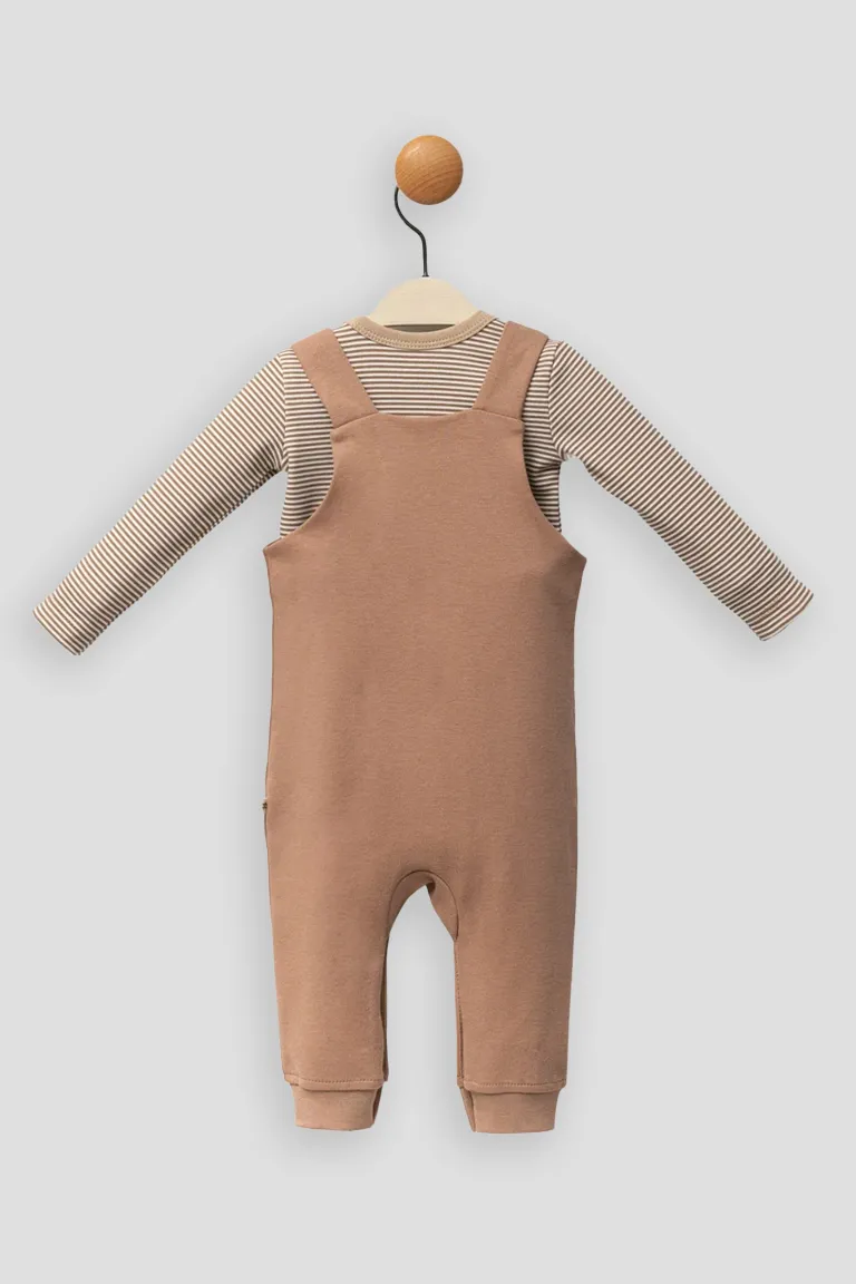 Hedgehog overall