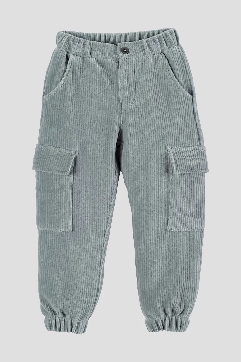 Blue velvet pants