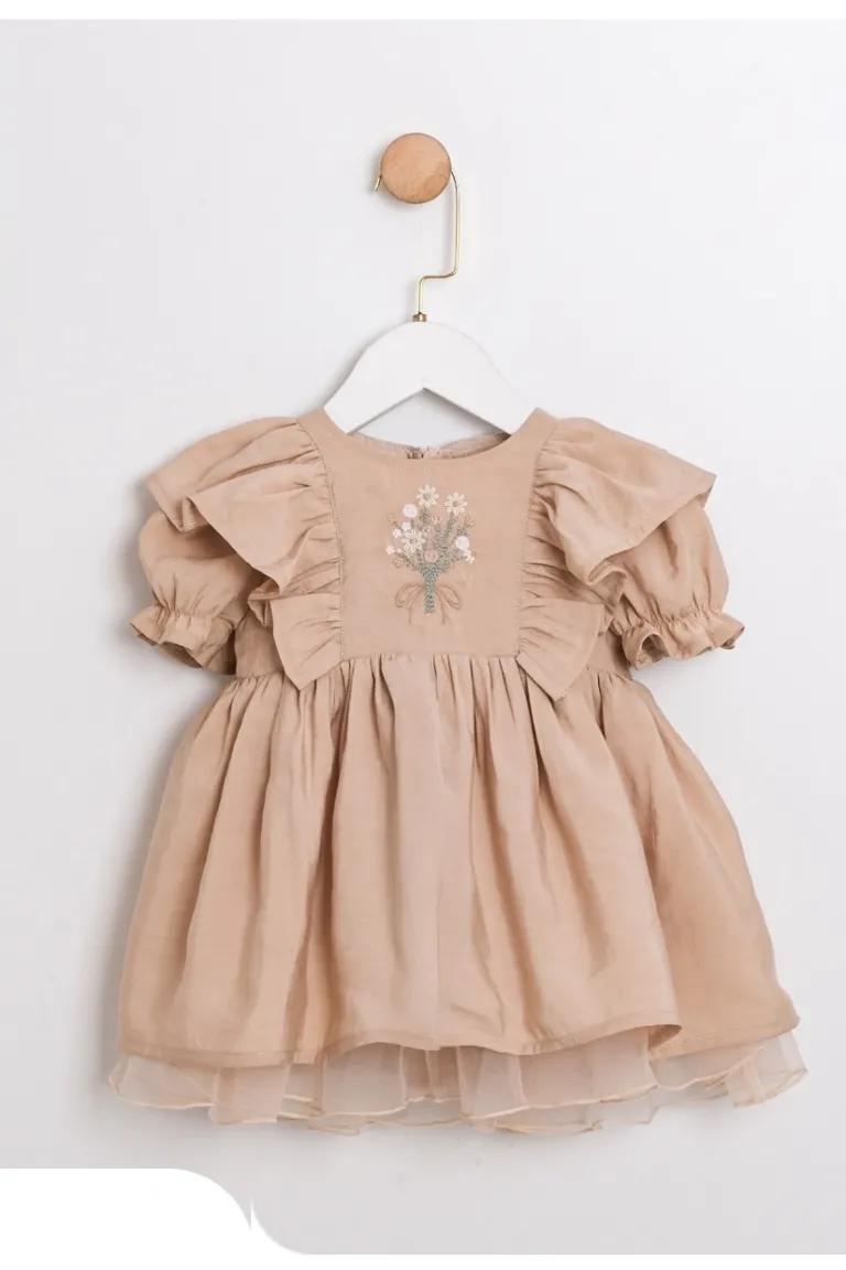 Amelia’s Dress