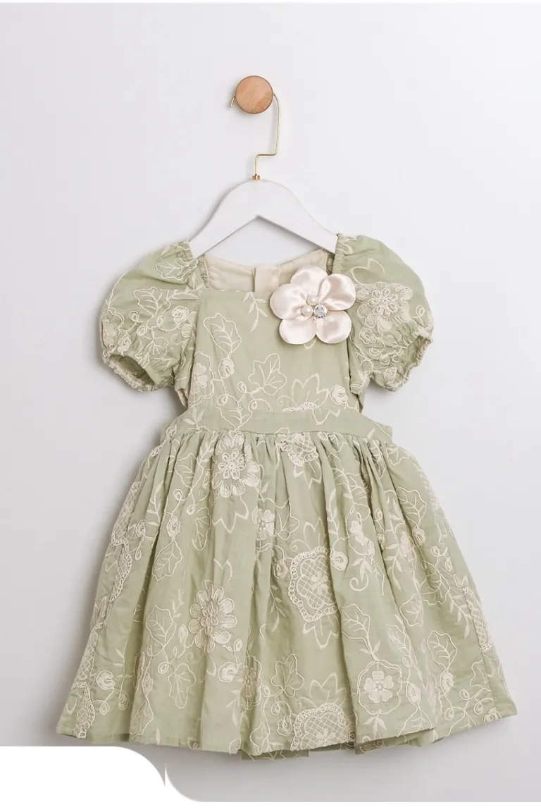 Ivy’s Dress